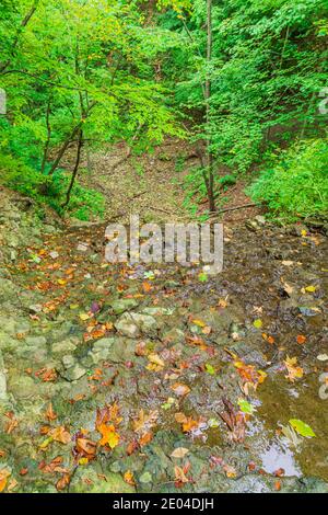 Princess Waterfalls Niagara escarpement Chedoke Radial Trail Hamilton Ontario Canada Banque D'Images