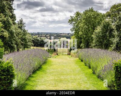Les jardins de Canons Ashby, un manoir élisabéthain situé à Canons Ashby, dans le Northamptonshire, en Angleterre. Banque D'Images