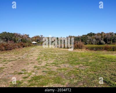 Sentier de la piste LaChua en hiver au parc national Paynes Prairie Preserve, Gainesville, Floride, États-Unis. Banque D'Images