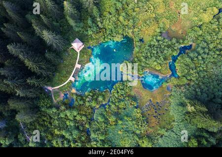 Vue aérienne d'une forêt avec lac. Zelenci, Kranjska gora, Slovénie Banque D'Images