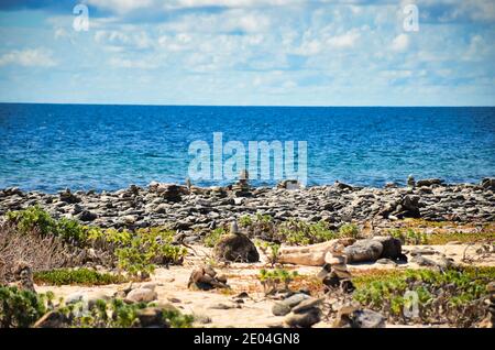 rochers sur la plage, cairn à la mer des caraïbes, île de bonaire, antilles abc pays-bas, pierre au bord de la mer, art sur la plage Banque D'Images