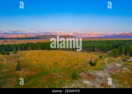 Forêts autour du lac Tekapo Banque D'Images
