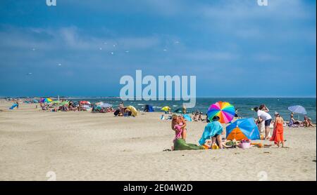 Plage populaire de Piémanson dans le delta de la Camargue du Rhône, Bouches-du-Rhône, sud de la France Banque D'Images