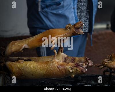 Cuisine de rue rôtie de cobaye cuite et cuite Crache dans le marché central de Banos Équateur Amérique du Sud Banque D'Images