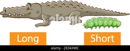 Adjectifs opposés avec une illustration longue et courte Illustration de Vecteur