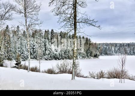 La neige couvrait le lac et les arbres pendant un hiver canadien. Banque D'Images