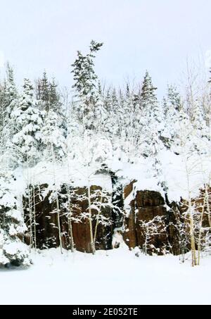 Une coupe de roche et des arbres couverts de neige le long d'une autoroute, font une belle scène. Banque D'Images