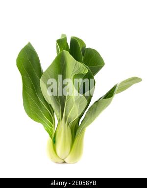 Whole pak choi devant un fond blanc Banque D'Images