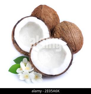 Fleurs de noix de coco et de jasmin blanc sur fond blanc. Banque D'Images