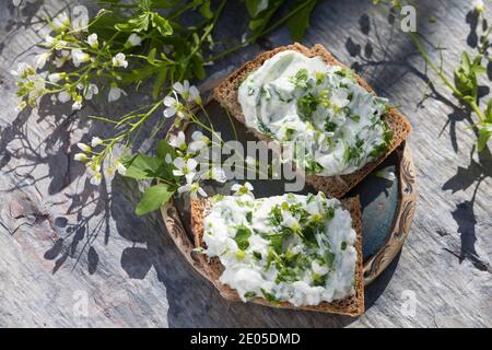 KräuterQuark, Quark auf Brot mit Bitterem Schaumkraut, Bitteres Schaumkraut, Bitter-Schaumkraut, Falsche Brunnenkresse, Bitter-Schaumkraut, Bitterkres Banque D'Images