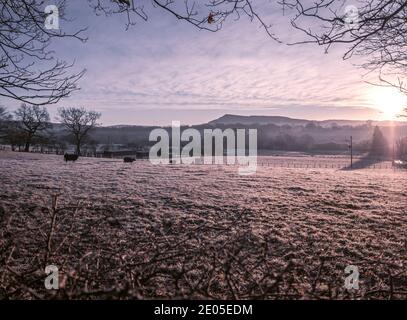 Un champ de brume gelé au lever du soleil. Les couches de brume se déposent sur le sol inférieur à travers une vue classique de la campagne britannique au lever du soleil en hiver. Banque D'Images