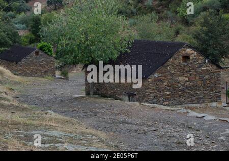 Chalets à Villareal de San Carlos. Parc national de Monfrague. Caceres. Estrémadure. Espagne. Banque D'Images