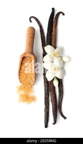 Sucre vanillé et bâtonnets de fleurs sur fond blanc. Banque D'Images