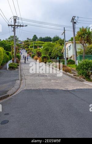 DUNEDIN, NOUVELLE-ZÉLANDE, 25 JANVIER 2020: Baldwin Street - la rue la plus raide du monde, à Dunedin, Nouvelle-Zélande Banque D'Images