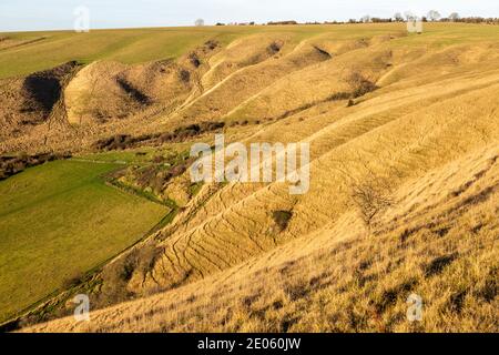 Crêtes et vallées sèches pente de craie sur Roundway Down, Wiltshire, Angleterre, Royaume-Uni Banque D'Images