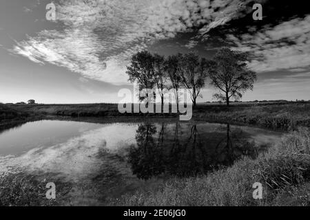 L'été ; la vidange de 20 pieds près de Mars ; Ville ; Fenland Cambridgeshire ; Angleterre ; UK Banque D'Images