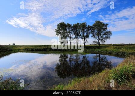 L'été ; la vidange de 20 pieds près de Mars ; Ville ; Fenland Cambridgeshire ; Angleterre ; UK Banque D'Images