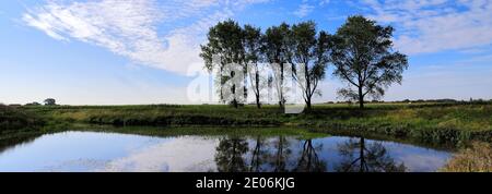 L'été ; la vidange de 20 pieds près de Mars ; Ville ; Fenland Cambridgeshire ; Angleterre ; UK Banque D'Images