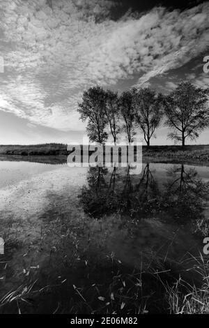 L'été ; la vidange de 20 pieds près de Mars ; Ville ; Fenland Cambridgeshire ; Angleterre ; UK Banque D'Images