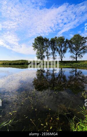 L'été ; la vidange de 20 pieds près de Mars ; Ville ; Fenland Cambridgeshire ; Angleterre ; UK Banque D'Images