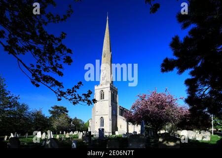 Spring, église St Bénédicts, village de Glinton, Cambridgeshire, Angleterre, Royaume-Uni Banque D'Images