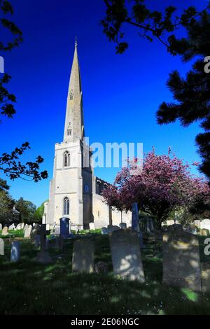 Spring, église St Bénédicts, village de Glinton, Cambridgeshire, Angleterre, Royaume-Uni Banque D'Images