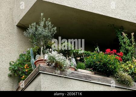 Plantes balcon jardin Allemagne Berlin Banque D'Images