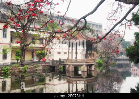 Arbres fleuris en pleine floraison se reflétant sur un canal d'eau dans le village de Huangpu à guangzhou en chine, un jour couvert. Banque D'Images