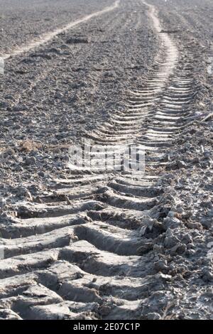 Chenille d'un tracteur sur le champ fraîchement labouré. Banque D'Images