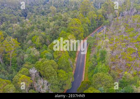 Vue aérienne d'une route à la forêt de Tarkine en Tasmanie, Australie Banque D'Images