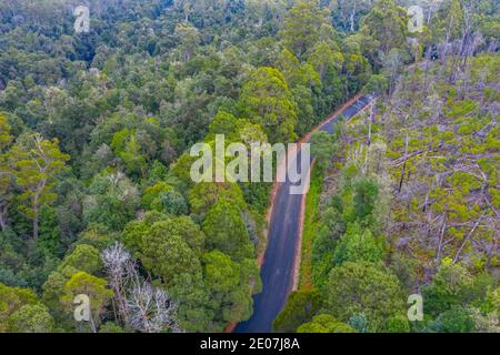 Vue aérienne d'une route à la forêt de Tarkine en Tasmanie, Australie Banque D'Images