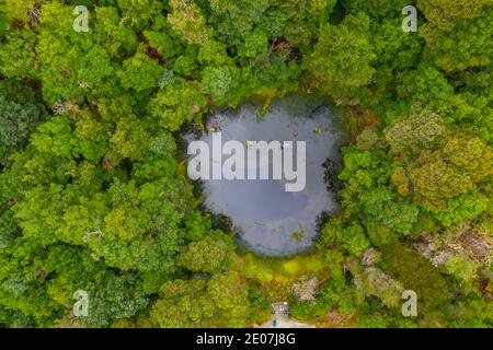 Vue aérienne d'un gouffre de la forêt de Tarkine en Tasmanie, en Australie Banque D'Images