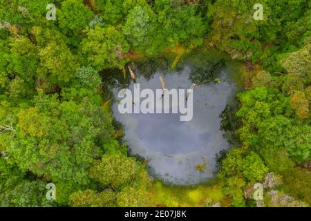 Vue aérienne d'un gouffre de la forêt de Tarkine en Tasmanie, en Australie Banque D'Images