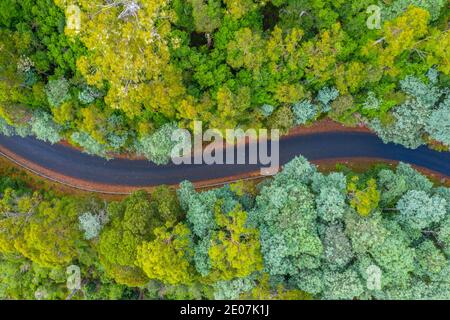 Vue aérienne d'une route à la forêt de Tarkine en Tasmanie, Australie Banque D'Images