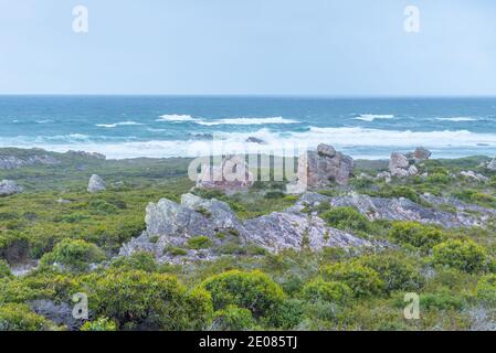 Point de colline de Bluff à Tasmanie, Australie Banque D'Images