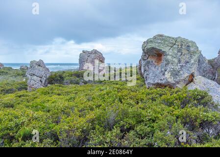 Point de colline de Bluff à Tasmanie, Australie Banque D'Images