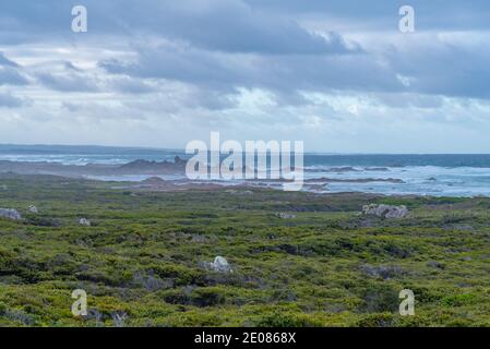 Point de colline de Bluff à Tasmanie, Australie Banque D'Images