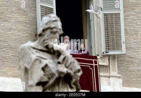 Un moulus vole devant le Pape Benoît XVI à la fin de sa prière hebdomadaire Angelus au Vatican à Rome, en Italie, le 29 janvier 2012. Photo par Eric Vandeville/ABACAPRESS.COM Banque D'Images