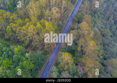 Vue aérienne d'une route forestière en Tasmanie, en Australie Banque D'Images