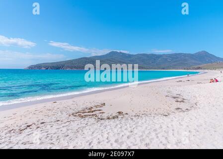 Les gens profitent d'une journée ensoleillée à la baie de Wineglass, en Tasmanie, en Australie Banque D'Images