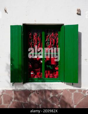 AJAXNETPHOTO. HONDARRIBIA, ESPAGNE. - POTS ET POIVRONS - VITRINE DE BOUTIQUE DE POIVRONS ROUGES ET POTS DANS LA VIEILLE VILLE CÔTIÈRE DU NORD ET PORT DE PÊCHE PRÈS DE LA FRONTIÈRE AVEC LA FRANCE.PHOTO:JONATHAN EASTLAND/AJAX REF:GX8190110 750 Banque D'Images