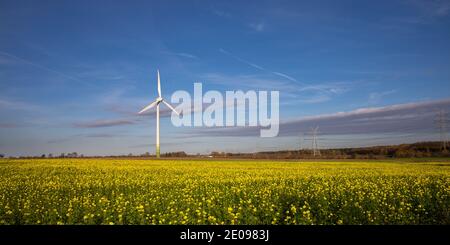 parc éolien fournissant de l'énergie propre avec champ de colza dans le premier plan et beau ciel en arrière-plan Banque D'Images