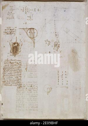 Leonardo da Vinci - Verso UNE étude des organes digestifs, la tête d'un vieil homme en profil, une étude délavée de Leda, et des diagrammes géométriques c. 1506-8. Banque D'Images