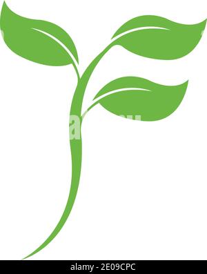 Logos des feuilles de l'arbre vert nature écologie du vecteur de l'élément Illustration de Vecteur