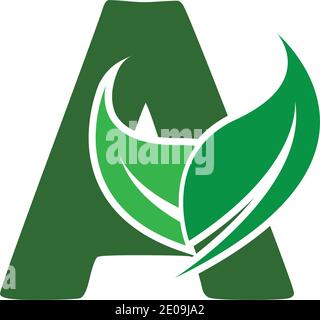 Lettres écologiques vertes UN logo avec des feuilles. /symbole / alphabet / botanique / vert naturel lettre A avec logo feuille modèle d'illustration Illustration de Vecteur