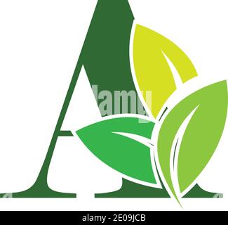 Lettres écologiques vertes UN logo avec des feuilles. /symbole / alphabet / botanique / vert naturel lettre A avec logo feuille modèle d'illustration Illustration de Vecteur