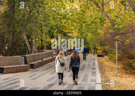 Les citoyens se détendent dans le parc de l'île de Prince en automne. Centre-ville de Calgary. AB, Canada Banque D'Images