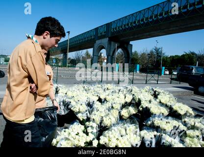 Les scouts israéliens français portent des roses blanches alors qu'ils ouvrent la marche par des gens de toutes les confessions le 25 mars 2012 dans la ville du sud-ouest de Toulouse, dans le district où trois enfants et un enseignant ont été tués la semaine dernière par l'islamiste autoproclamé Mohamed Merah. La police a abattu Merah alors qu'il sautait de la fenêtre de son appartement après un siège de 32 heures, après avoir tué sept personnes. Photo de Theo Renaut/ABACAPRESS.COM Banque D'Images