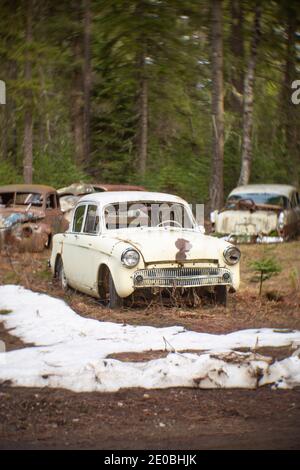 Une 1957 berline Hillman Minx 4 portes à toit rigide, dans une zone boisée, à Noxon, Montana. Cette image a été prise avec un ancien objectif Petzval et montrera des signes Banque D'Images