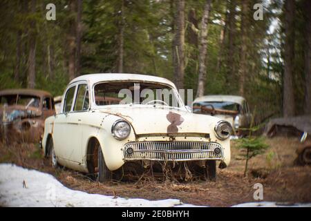 Une 1957 berline Hillman Minx 4 portes à toit rigide, dans une zone boisée, à Noxon, Montana. Cette image a été prise avec un ancien objectif Petzval et montrera des signes Banque D'Images